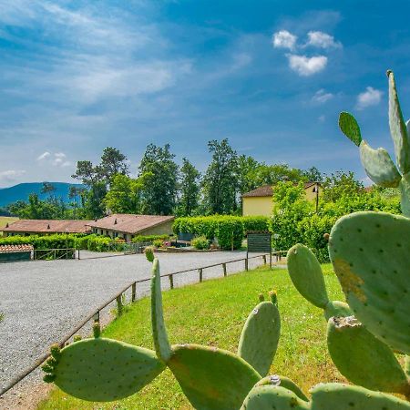 Holiday Home I Pini By Interhome San Macario In Piano Екстер'єр фото